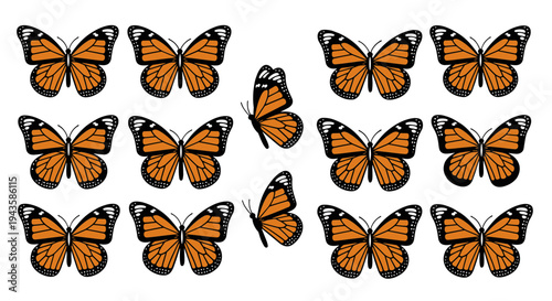 Group of realistic monarch butterflies flying with wings spread, showcasing beautiful natural patterns on white background