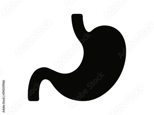 Human Stomach Anatomy Internal Organ Silhouette Vector Illustration Isolated on Transparent Background