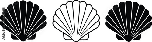 Set of simple seashell icons featuring solid black and outline styles for beach, marine, and summer design themes.