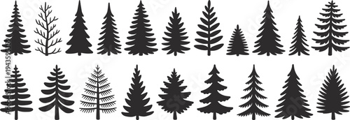 WebSet of black pine tree silhouettes, coniferous forest evergreen spruce fir cedar icons, minimalist nature elements for winter landscape flat vector illustration