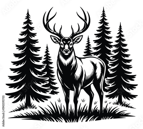 A black and white illustration of a deer standing in a forest surrounded by pine trees.