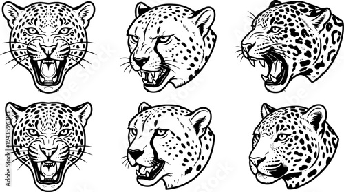 Tattoo flash six big cat head set showing leopard jaguar and cheetah expressions front profile roar close up bold outline