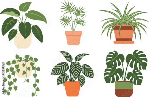 Colorful illustration of six potted houseplants with distinct leaf shapes and pot designs, artwork concept for botany, gardening, home decor, nature, and design projects
