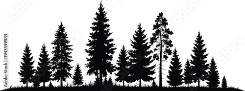 WebSilhouette forest landscape, pine trees, fir woodland, natural scenery, evergreen forest, outdoor nature, wilderness background, tranquil environment, eco illustration, green design