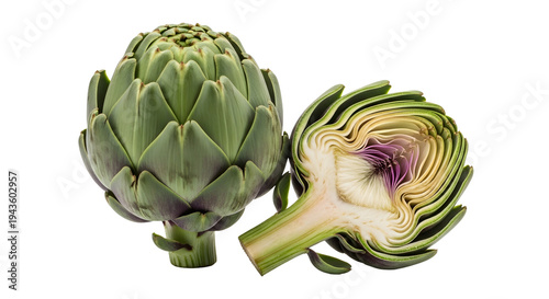 Artichoke Whole and Half Isolated PNG – Fresh Green Artichoke Cut Vegetable Transparent Background
