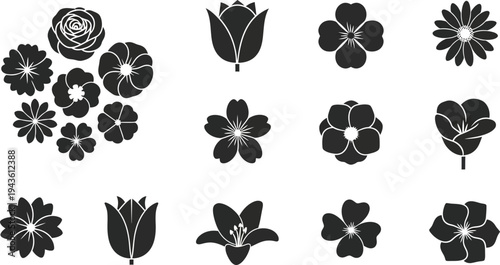 Black and white floral on white background flowers silhouettes 5