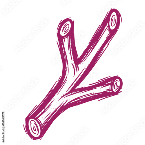 Cinnamon sticks in a Y shape on a white background