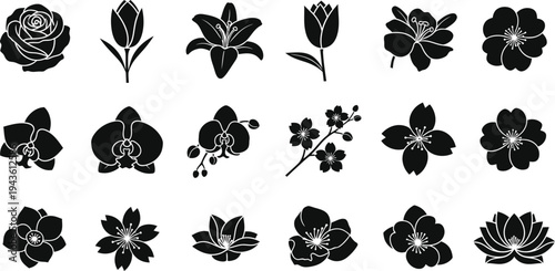 Black and white floral silhouettes on white background flowers 2