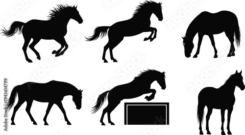 Horse silhouettes set with running, jumping and standing poses, farm animal vector illustration isolated on white background