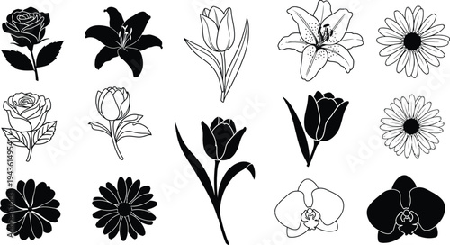 Black and white flower flowers silhouettes line