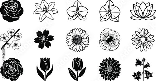 Black and white flower in various styles and shapes flowers silhouettes line