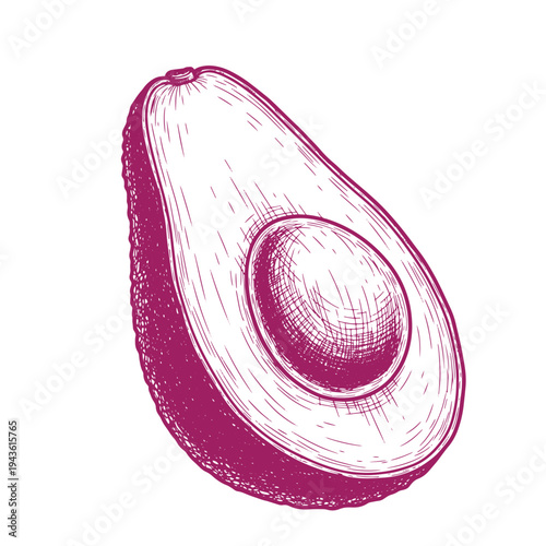 Avocado half with pit drawn in purple lines on white