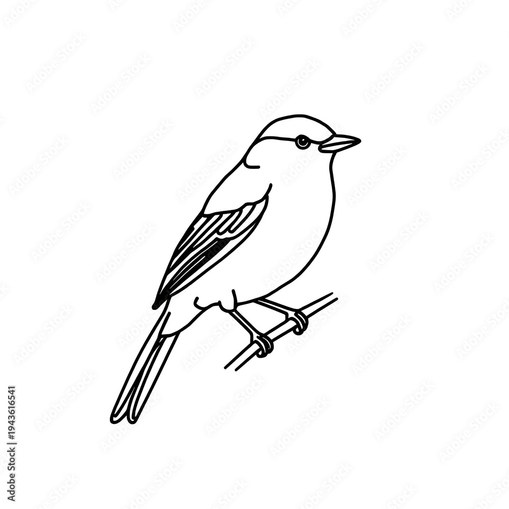 Fototapeta premium vector illustration of a bird