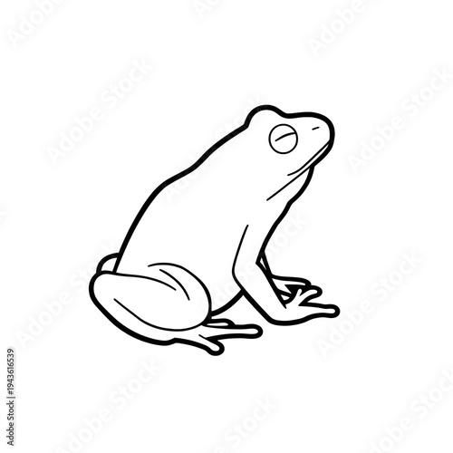frog on white background