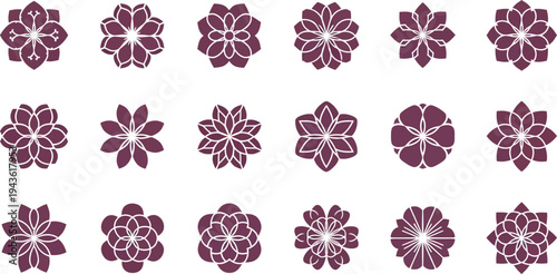 Burgundy floral on white background flowers patterns
