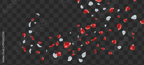 red and white rose petals falling and swirling gracefully Elegantideal for luxury beauty branding, and floral overlays