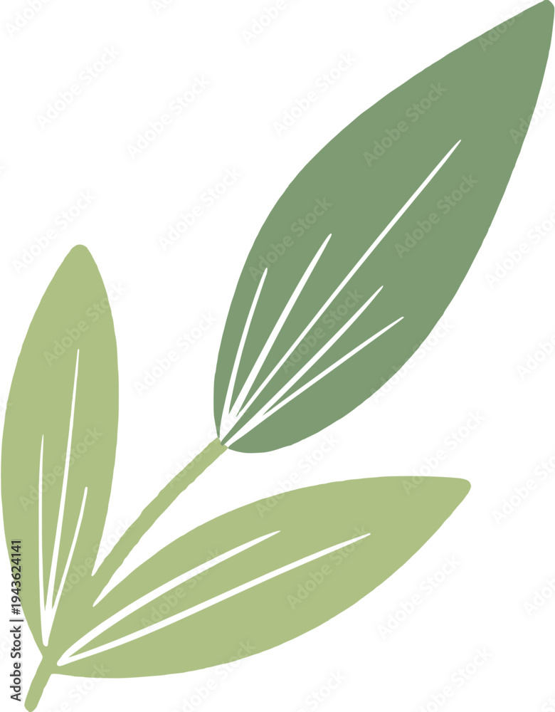Obraz premium Green Leaf