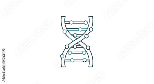 Stylized DNA Double Helix Structure Illustration.