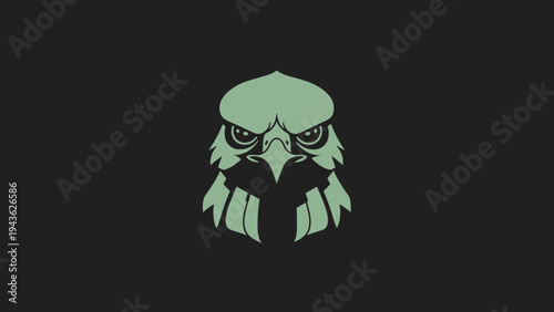 Stylized Eagle Head Logo Design.