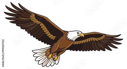 Isolated predator bald eagle with spread wings flying in the wild sky as a symbol of freedom for nature and wildlife illustration