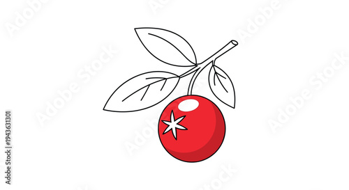 Single red berry grows on a branch with several green leaves in this simple and clean botanical vector drawing.