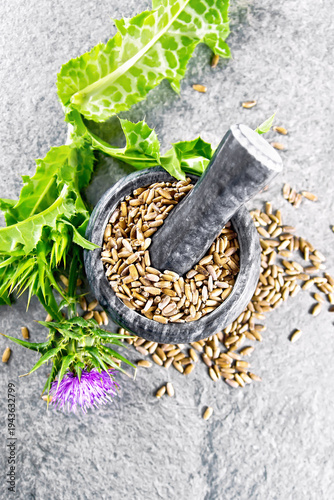 Seeds milk thistle in mortar on stone table top