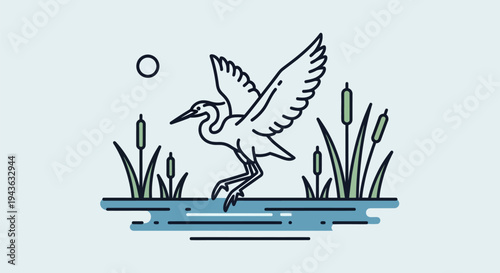 a heron landing on the water.