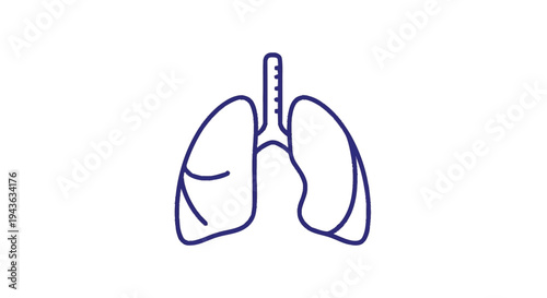 Simple Line Drawing of Human Lungs Anatomy Illustration.