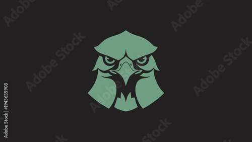 Stylized Eagle Head Emblem with Intense Gaze.