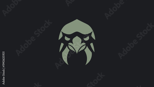 Stylized Eagle Head Emblem With Sharp Beak.