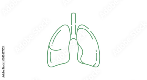 Simple Line Art Illustration of Human Lungs.