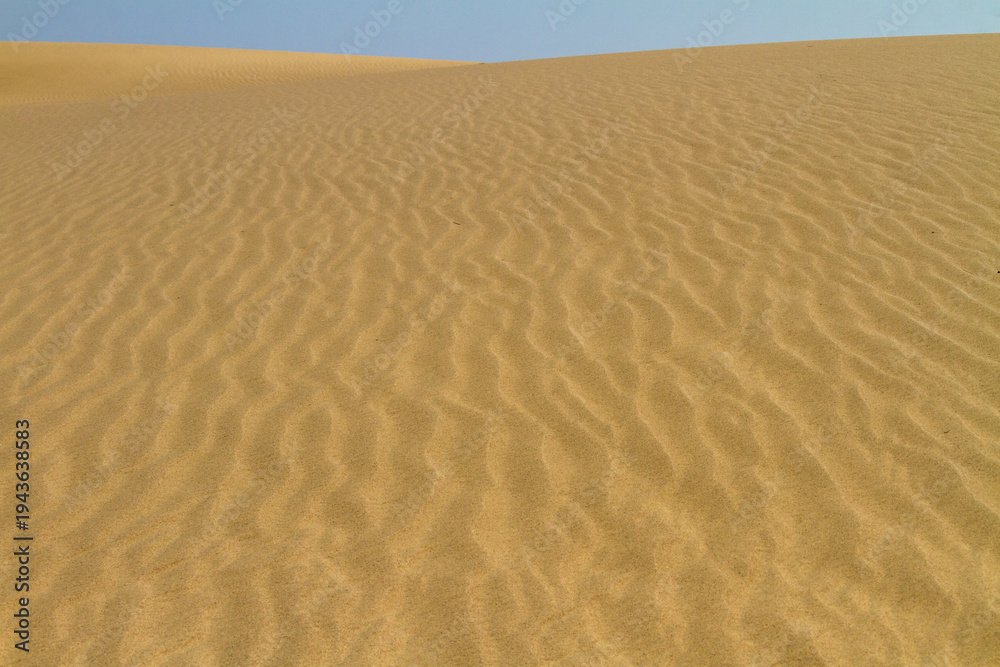 Fototapeta premium Golden Sand Dunes with Ripple Patterns in Oman