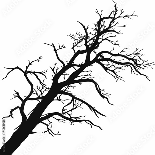 Aggressive silhouette of weathered dead tree featuring sharp pointed branches and thick trunk tilted to side isolated on clear white background art