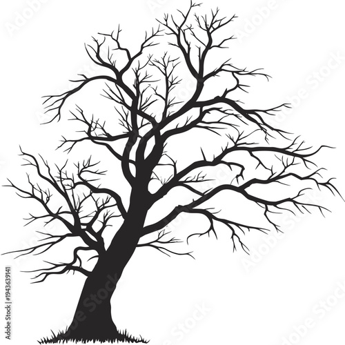 Graceful silhouette of large spreading leafless tree with grass at base providing classic nature element for graphic design and landscape layout