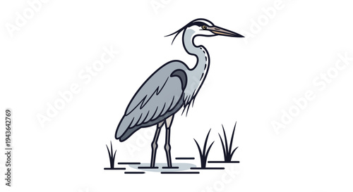 Illustration of a heron standing in water.