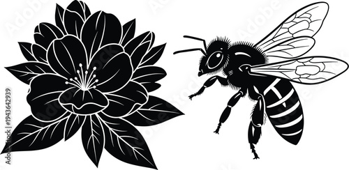 Bee and flower illustration artwork, pollination concept drawing, black and white nature design, ecological interaction symbol, detailed insect botanical artwork