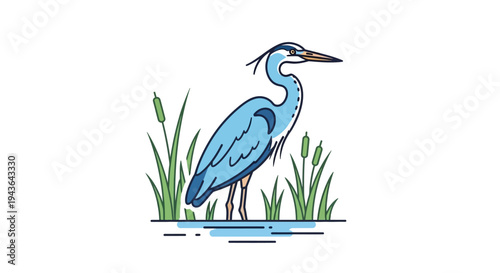 A blue heron standing in water plants.