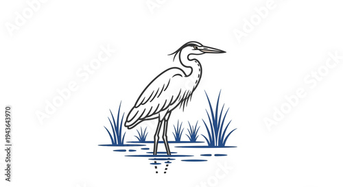 A heron standing in shallow water.