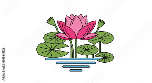 A pink lotus flower with green leaves.