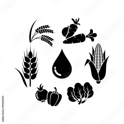 Agriculture Food Crops and Water Drop Essential Elements