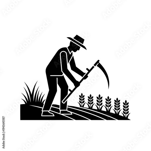 Farmer Harvesting Grain with a Scythe in a Field Traditional Agriculture