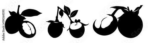 Mangosteen fruit set with solid black silhouette featuring tropical exotic theme, leaf crown, black and white illustration with fruit and foliage and botanicals