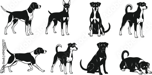 Vector black family silhouette jumping children dog breeds and human head profile set with map location pin icons isolated on white background for community concept.