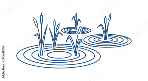 Illustration of cattails in water.