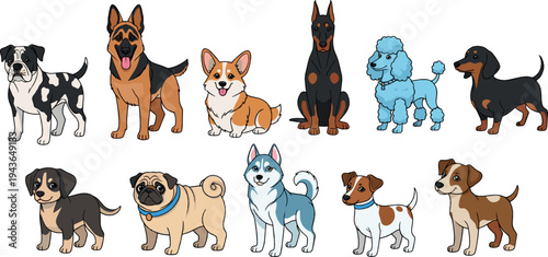 Cute Dog Breeds Collection with Shepherd, Corgi, Doberman, Poodle, Husky, Pug and Other Domestic Puppies Cartoon Vector Illustration Set