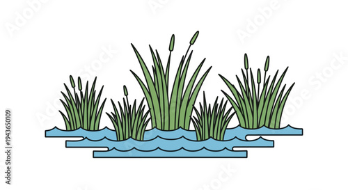 Illustration of cattails in water.