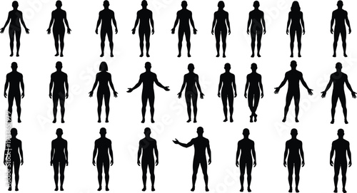 Diverse Collection of Human Body Silhouettes Featuring Men and Women in Various Standing Poses Flat Vector Illustration for Fashion Design and Character Templates