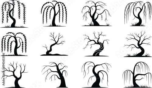 Willow tree silhouettes collection elegant curved branches nature vector illustration set decorative botanical trees isolated landscape design elements