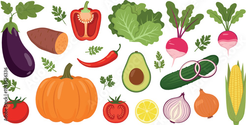 Fresh Garden Vegetables Collection with Pumpkin, Eggplant, Avocado, Tomato, Corn, Onion, Radish and Leafy Greens Healthy Food Vector Set