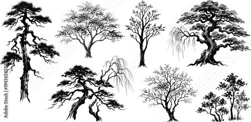 Collection of various deciduous and evergreen trees rendered in a classic black and white illustrative style, ideal for botanical or landscape design projects